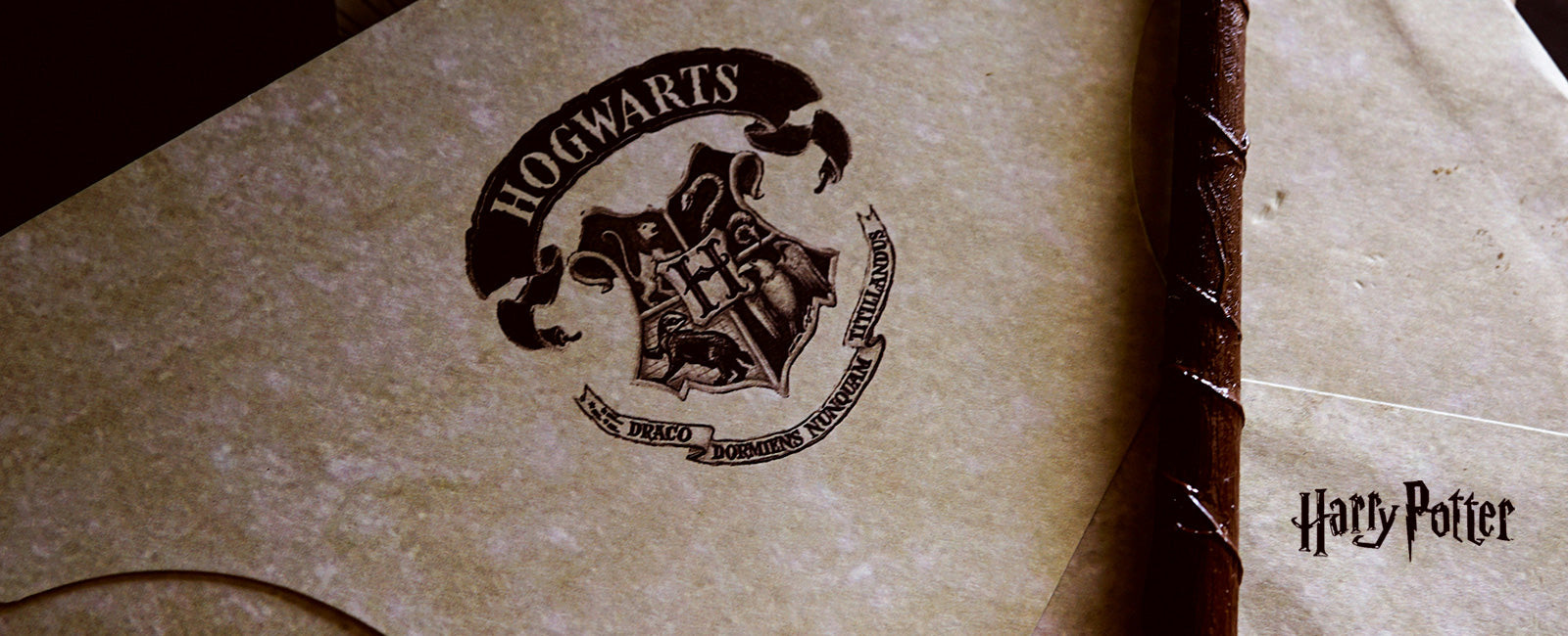 Vive a magia de Hogwarts!