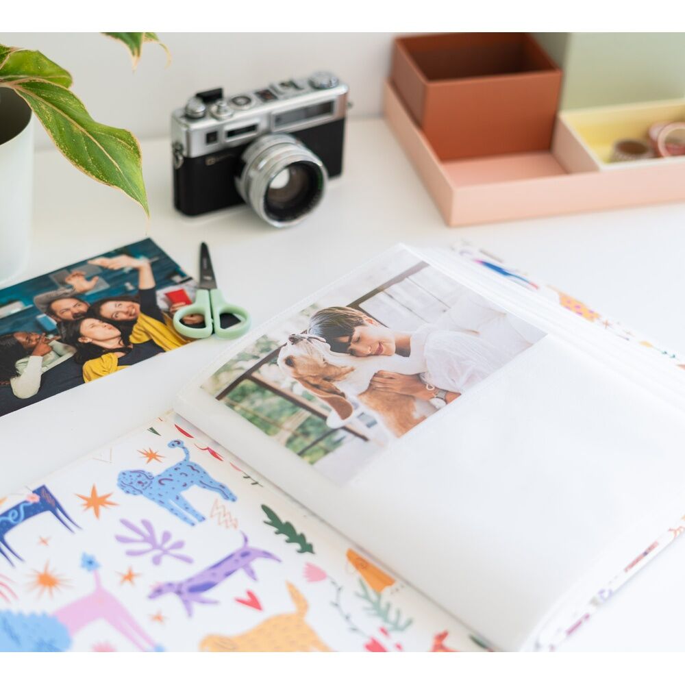 Álbum de fotos Cães