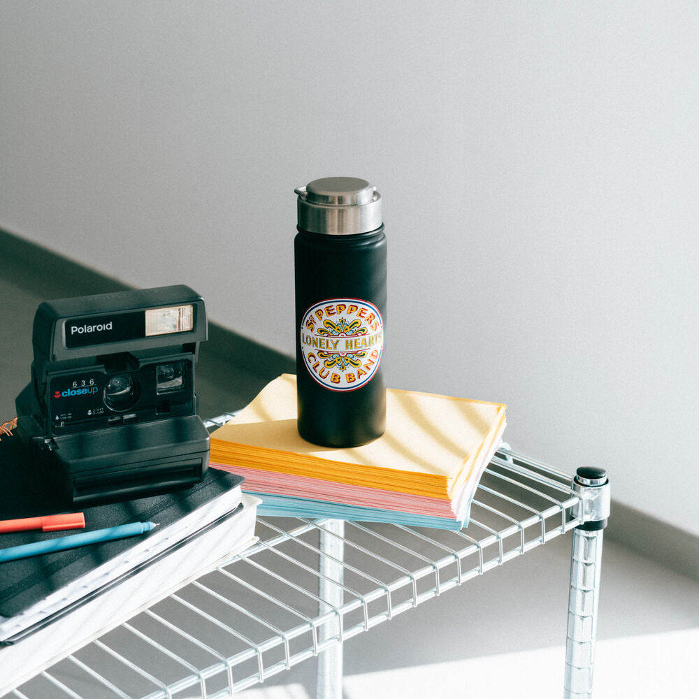 Garrafa em aço inoxidável The Beatles (500 ml)