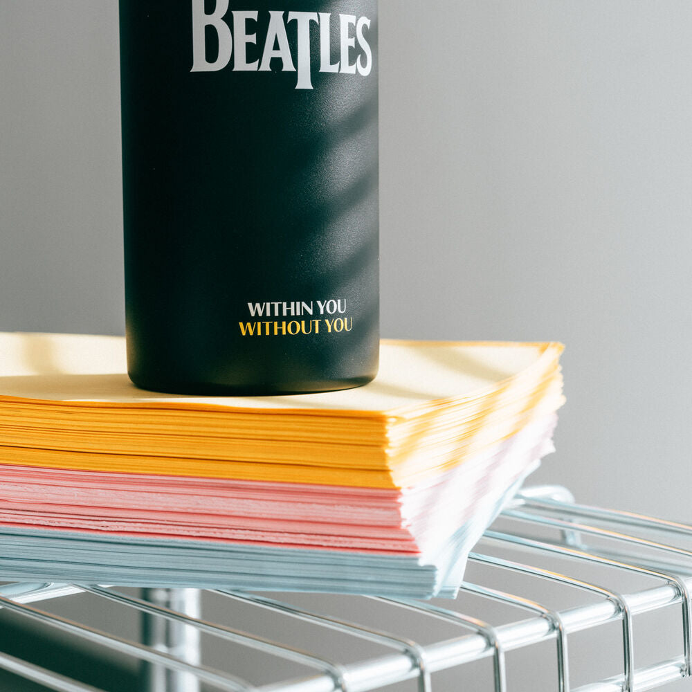 Garrafa em aço inoxidável The Beatles (500 ml)